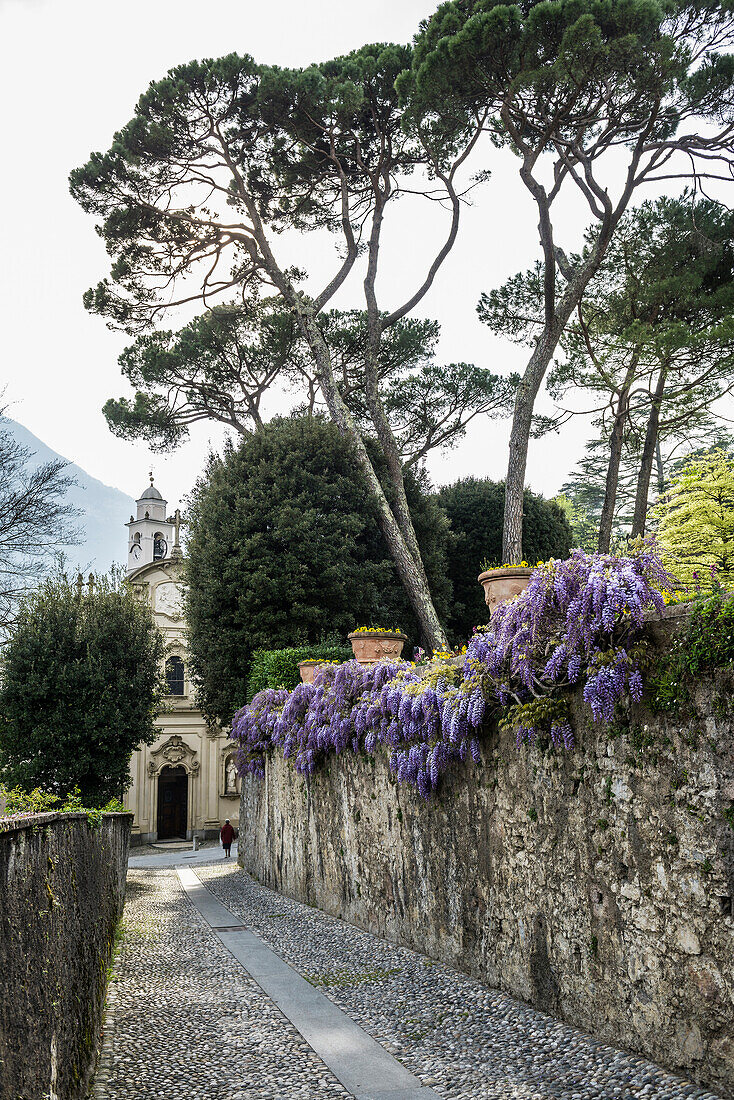 Menaggio, Comer See, Lago di Como, Provinz Como, Lombardei, Italien