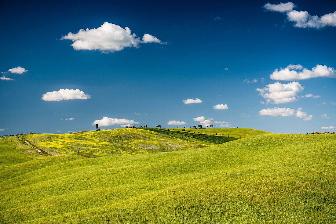 landscape, near San Quirico d`Orcia, Val d`Orcia, province of Siena, Tuscany, Italy, UNESCO World Heritage