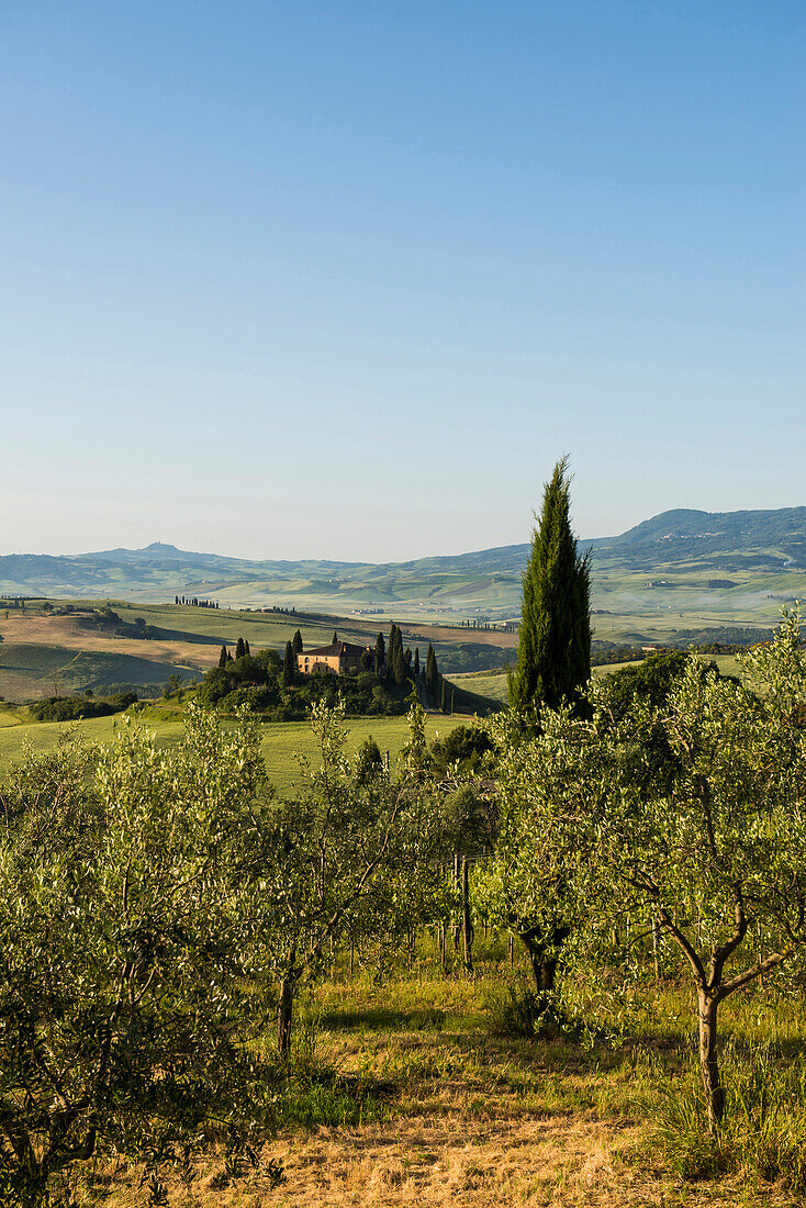 Landschaft bei San Quirico d'Orcia, Val d'Orcia, Provinz Siena, Toskana, Italien, UNESCO Welterbe