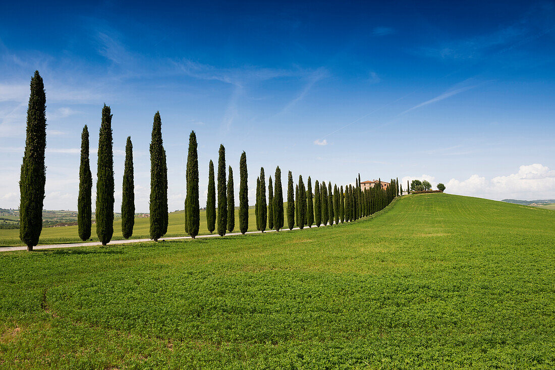 country residence and cypress trees, near San Quirico d`Orcia, Val d`Orcia, province of Siena, Tuscany, Italy, UNESCO World Heritage