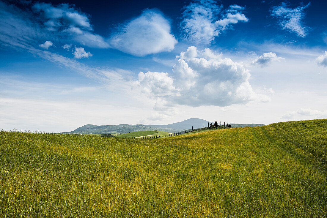 landscape near San Quirico d`Orcia, Val d`Orcia, province of Siena, Tuscany, Italy, UNESCO World Heritage