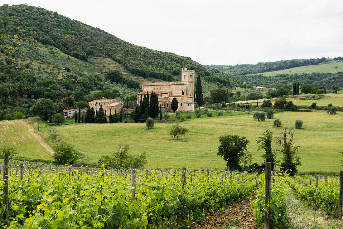 Abbey of Sant`Antimo near Montalcino, Val d`Orcia, province of Siena, Tuscany, Italy, UNESCO World Heritage