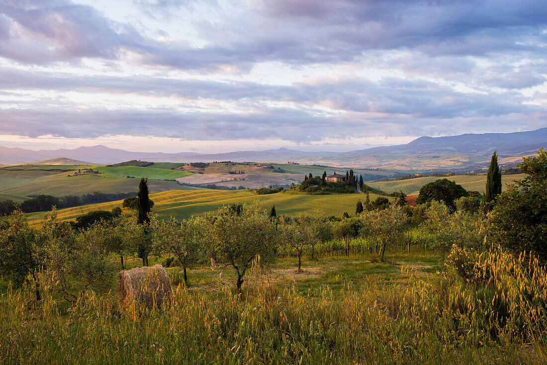 Landhaus und Zypressen bei Sonnenaufgang, bei San Quirico d'Orcia, Val d'Orcia, Provinz Siena, Toskana, Italien, UNESCO Welterbe