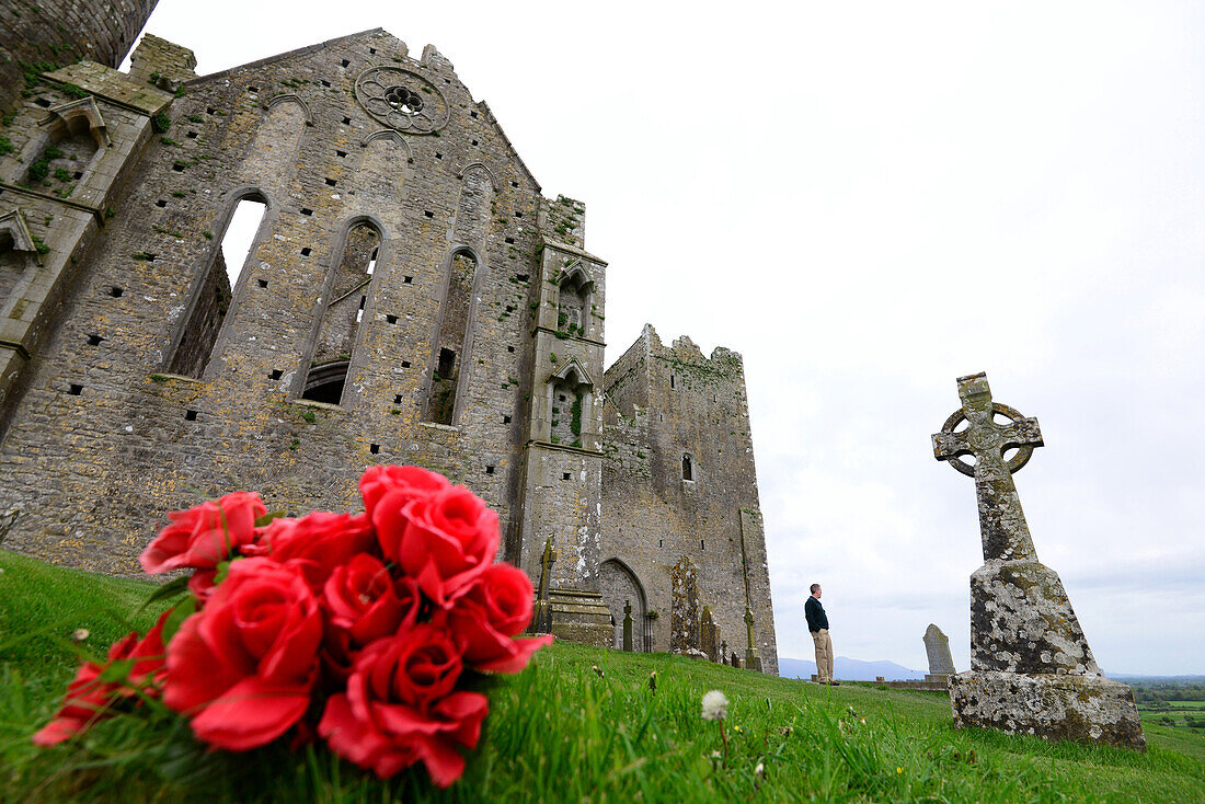 auf dem Rock of Cashel, Cashel, County Tipperary, Irland