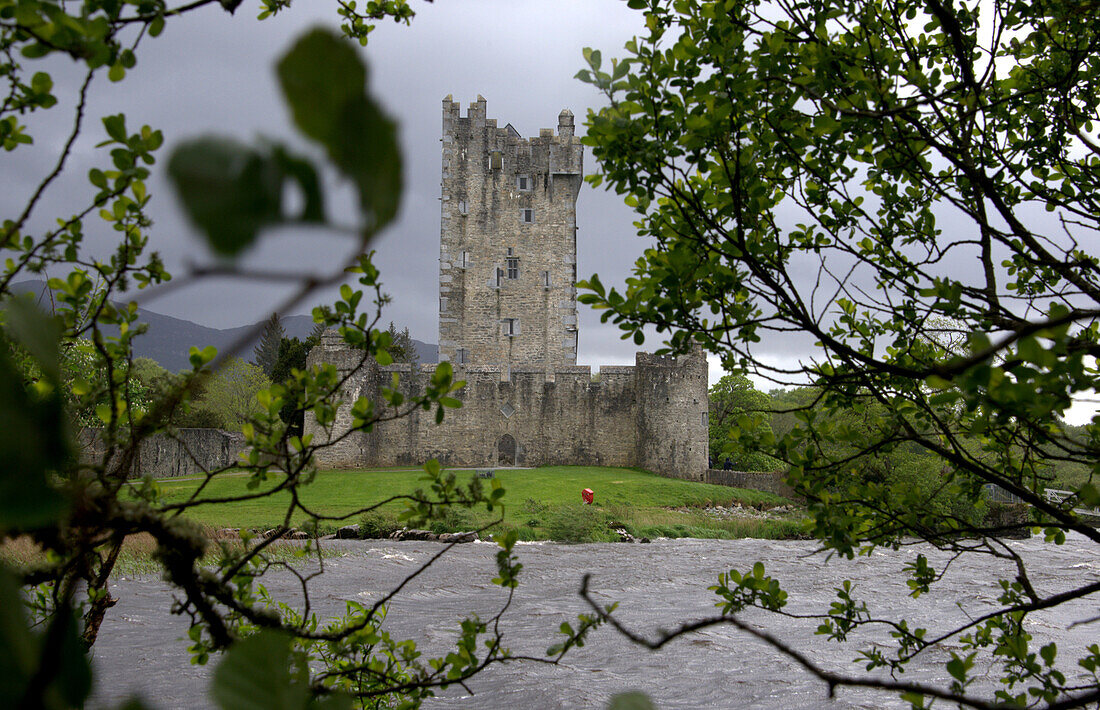 Ross Castle bei Killarney, Kerry, Irland
