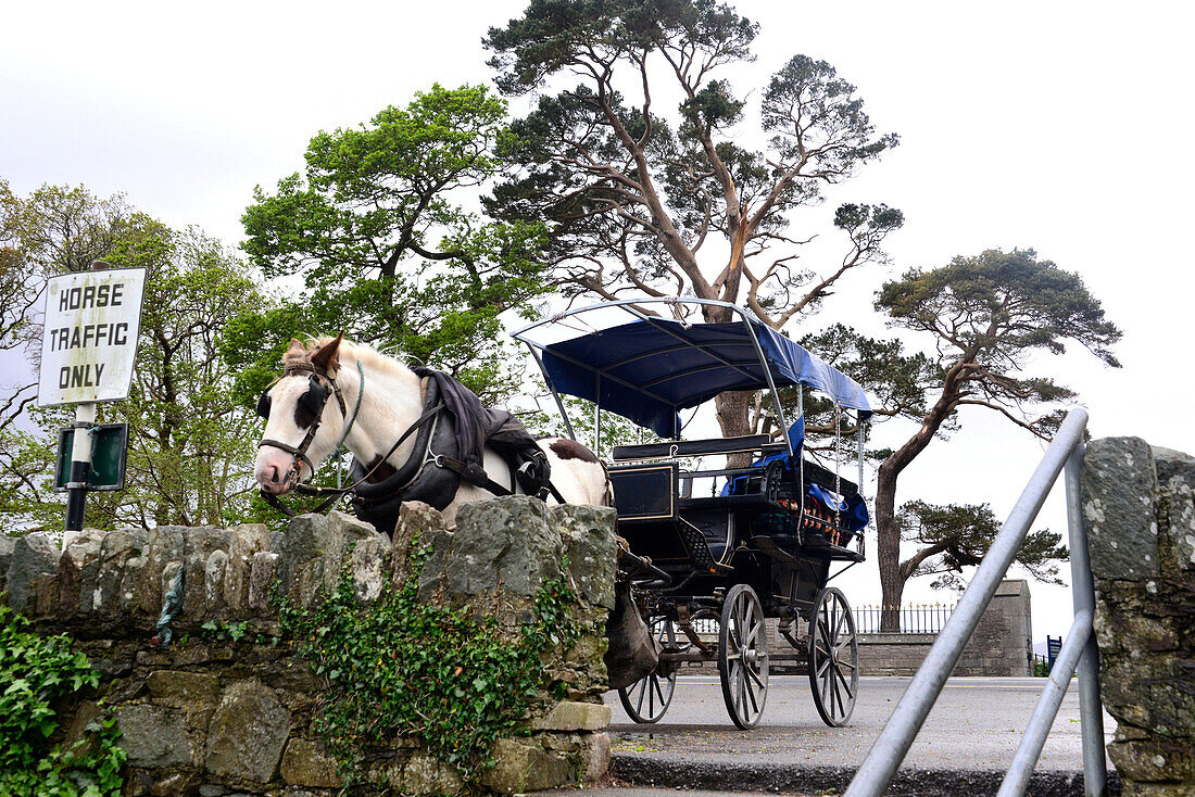 Horse and carriage at the Mukross Abbey at Lough Leane near Killarney, Ireland