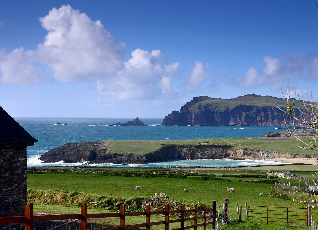 Near Dunquin on the west coast of the Dingle peninsula, Kerry, Ireland