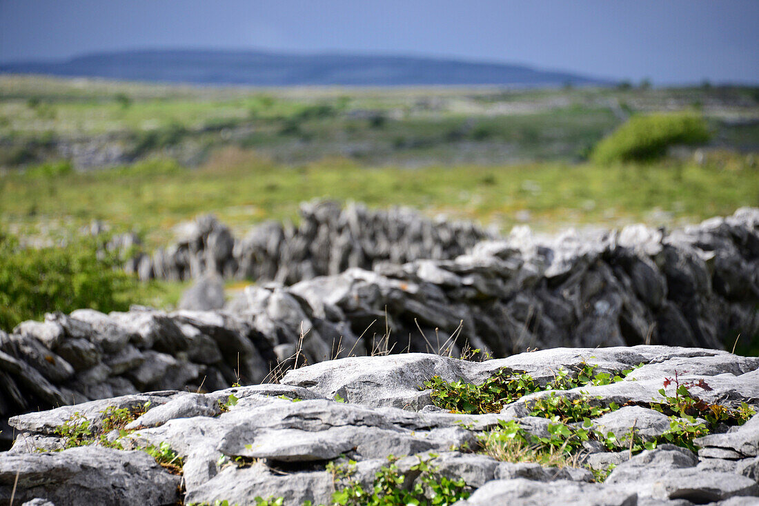 Im Burren, Clare, Irland