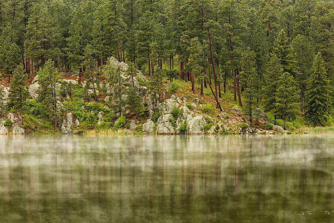 'Mist rises from the water of an unnamed lake with reflections of trees seen in it; black hills region south dakota united states of america'