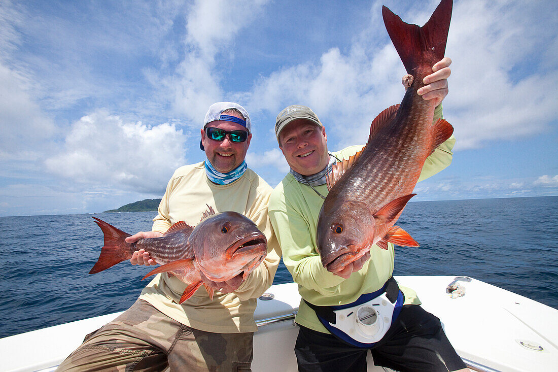 'Two men hold just caught mullet snappers; panama'