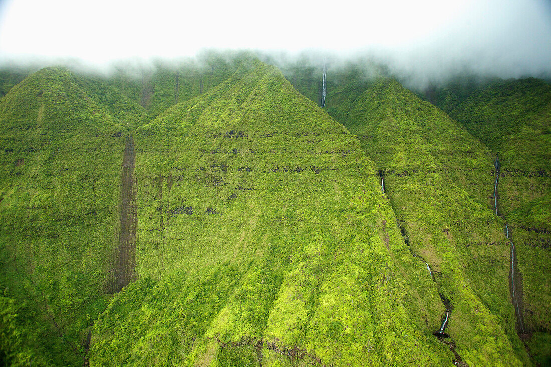 'Streams flowing down a lush green mountainside with low lying cloud;Hawaii united states of america'