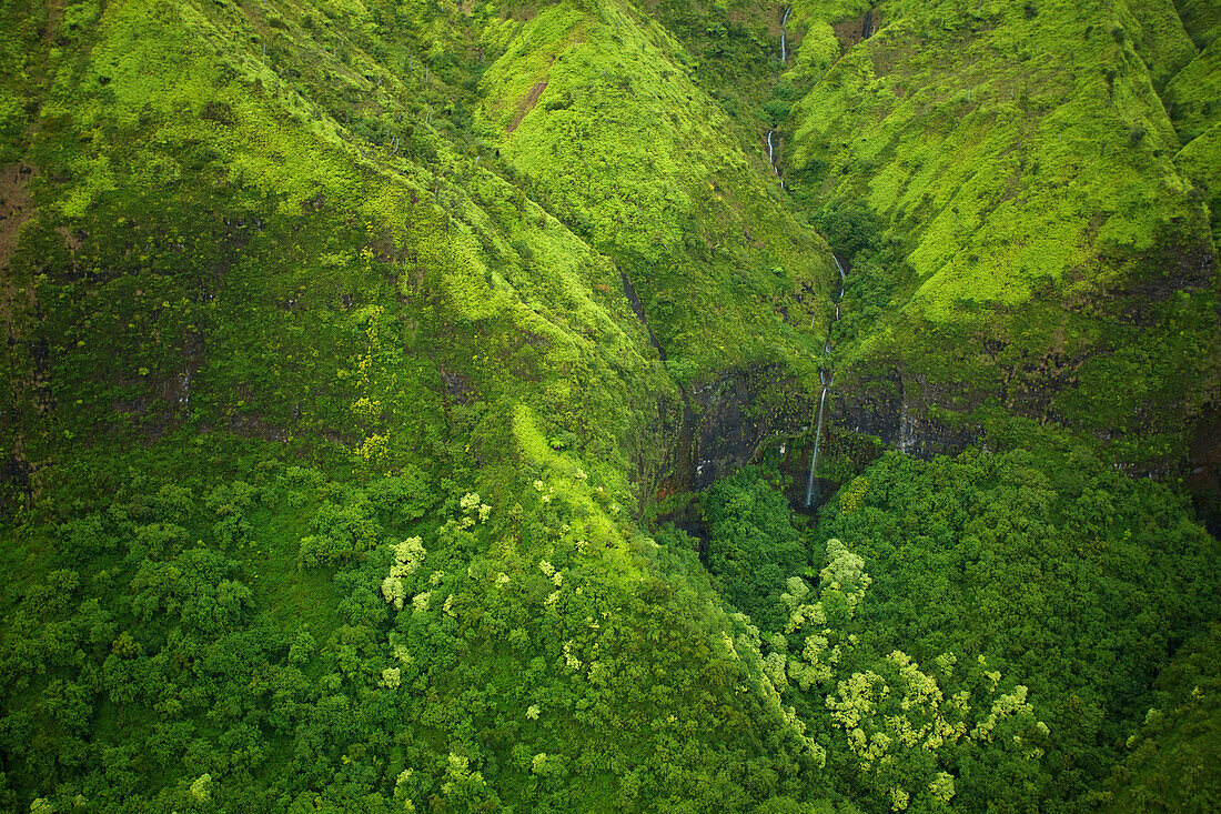 'Aerial view of a stream flowing through a lush green landscape;Hawaii united states of america'