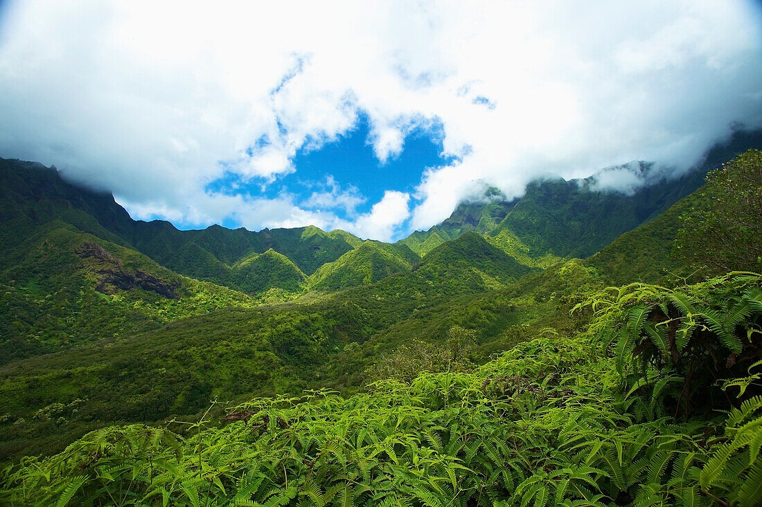 'Lush growth on the mountains and valleys on an hawaiian island;Hawaii united states of america'