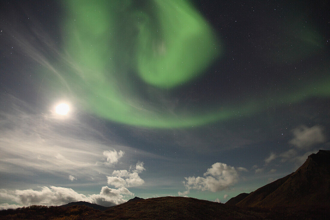 'The aurora borealis or northern lights above the dempster highway with a full moon in the sky;Yukon canada'