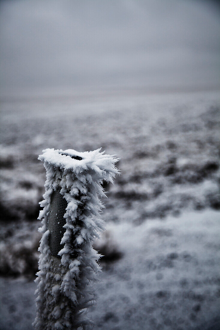 'Frost and ice cling to pole in barren landscape;Wyoming united states of america'