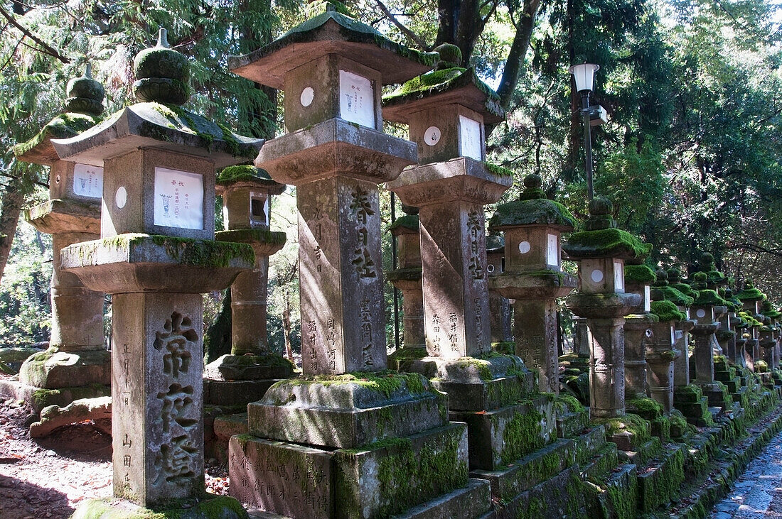 'Kasuga taisha shrine;Nara city tokyo japan'