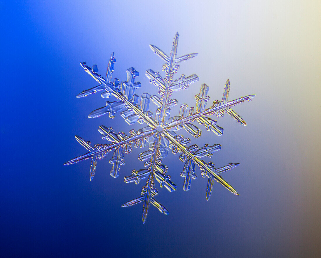 'A real snowflake showing the classic 6-sided star shape, photographed under a microscope;Anchorage, alaska, united states of america'
