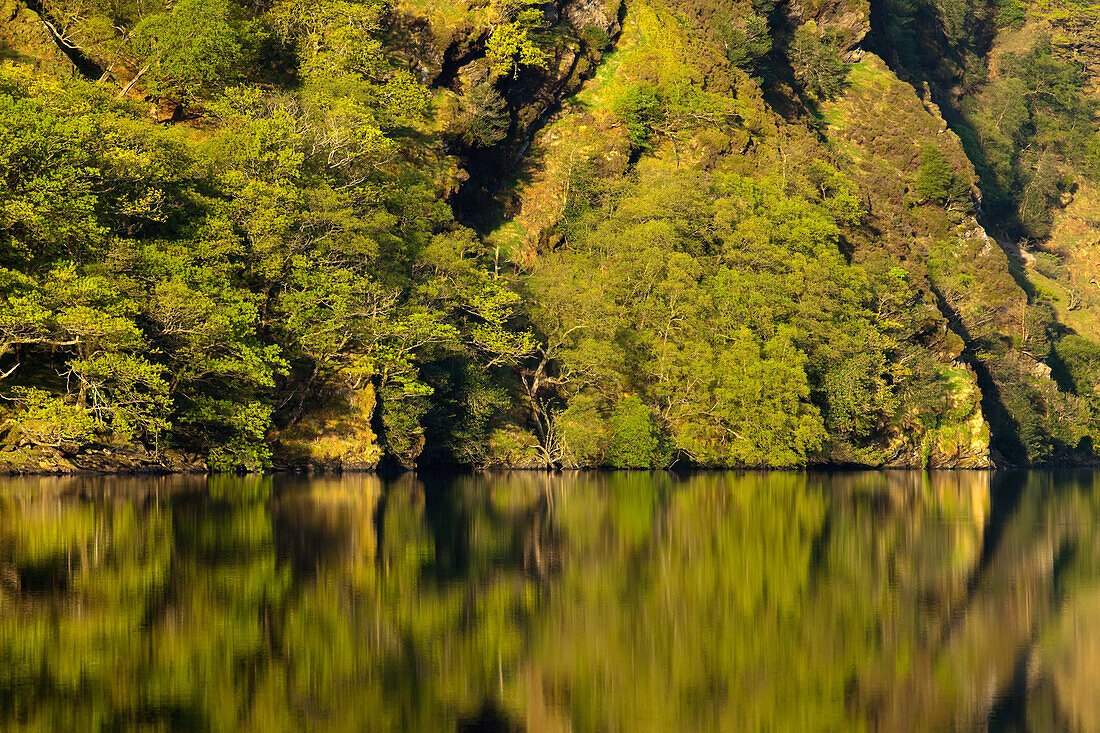 'Plant growth on a rock cliff with a mirror image in upper lake;Glendalough, county wicklow, ireland'