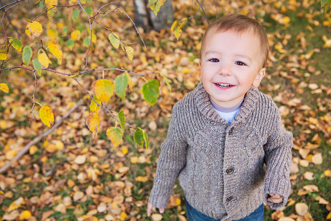 'Portrait of a young boy with fallen autumn leaves on the ground;St. albert alberta canada'