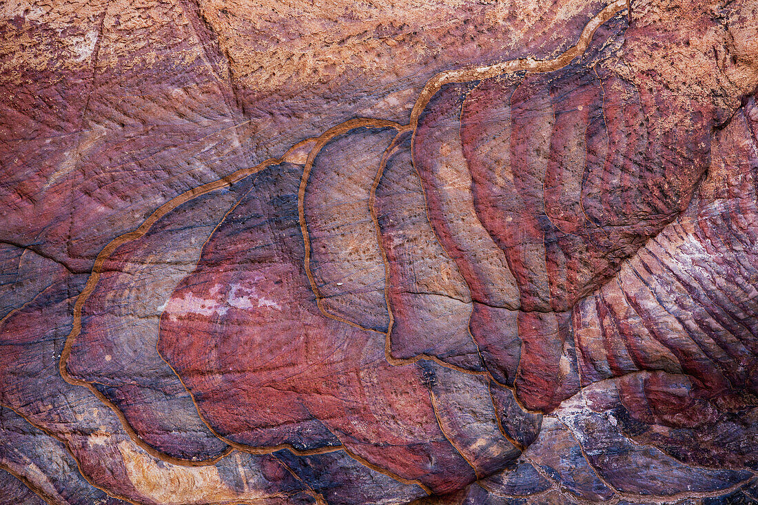 'A colourful sandstone wall eroded in a design;Petra jordan'