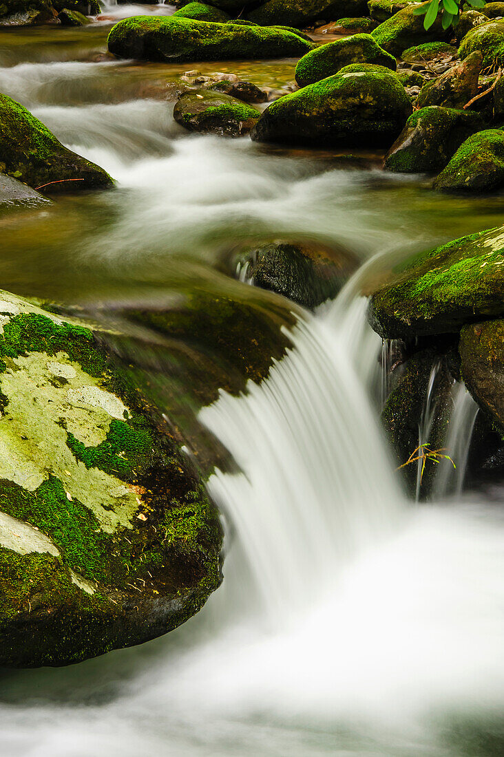 'Water cascading over moss covered rocks great smoky mountains national park;Tennessee united states of america'
