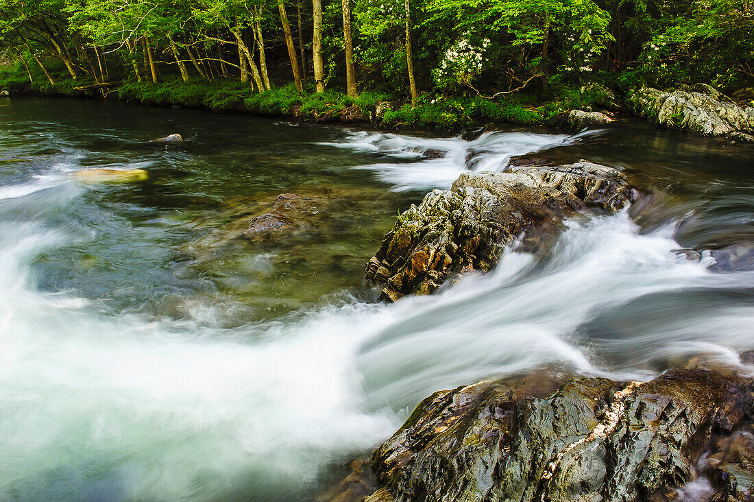 'A river rushing over rocks in great smoky mountains national park;Tennessee united states of america'