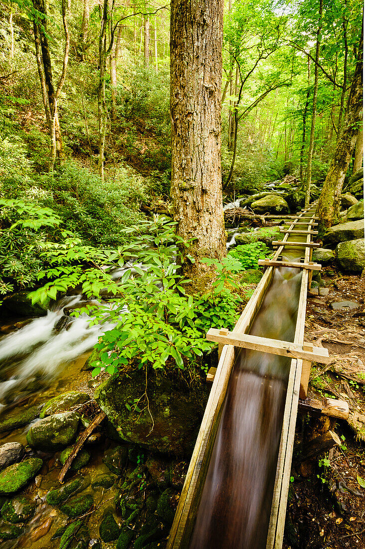 'Water flume along cherokee orchard road great smoky mountains national park;Tennessee united states of america'