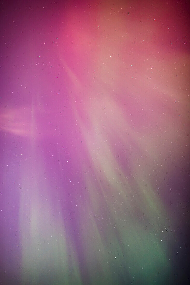 'A green and red northern lights corona in the sky above the tony knowles coastal trail in winter;Anchorage alaska united states of america'