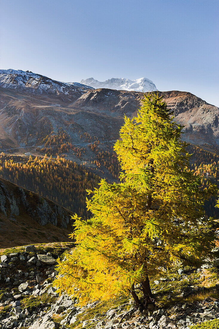 'View of the mountain breithorn in the pennine alps;Valais switzerland'