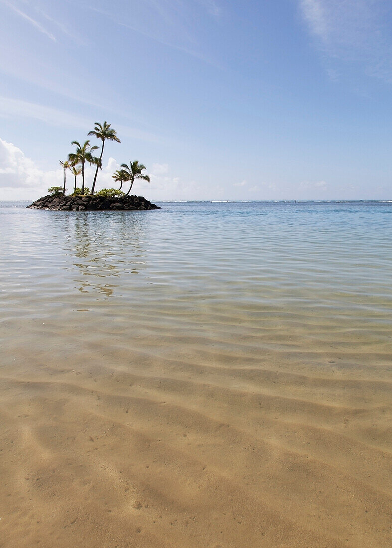 'A small island off the shore with palm trees growing on it;Honolulu oahu hawaii united states of america'