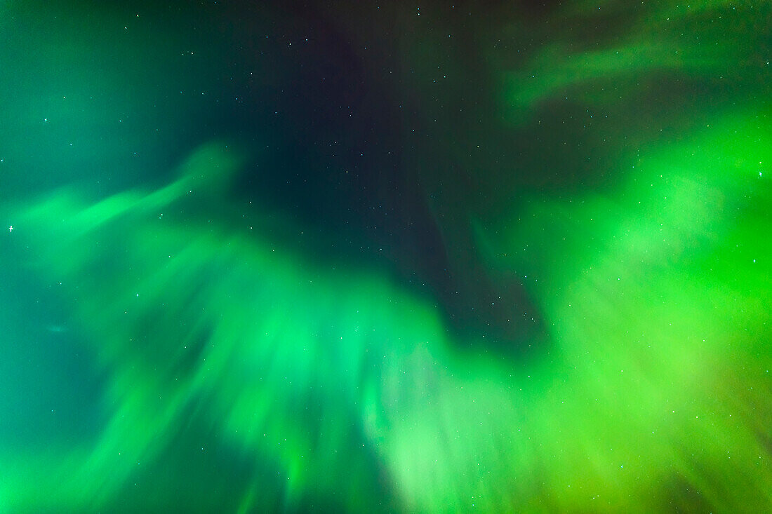 'A green northern lights corona in the sky above the tony knowles coastal trail in winter;Anchorage alaska united states of america'