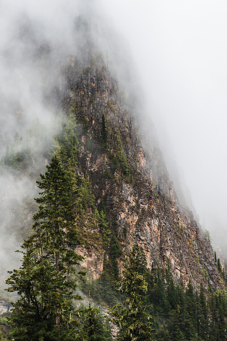 Clouds covering the steep cliff on the side of a mountain