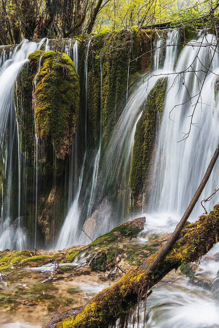 Waterfalls over cliffs covered in foliage