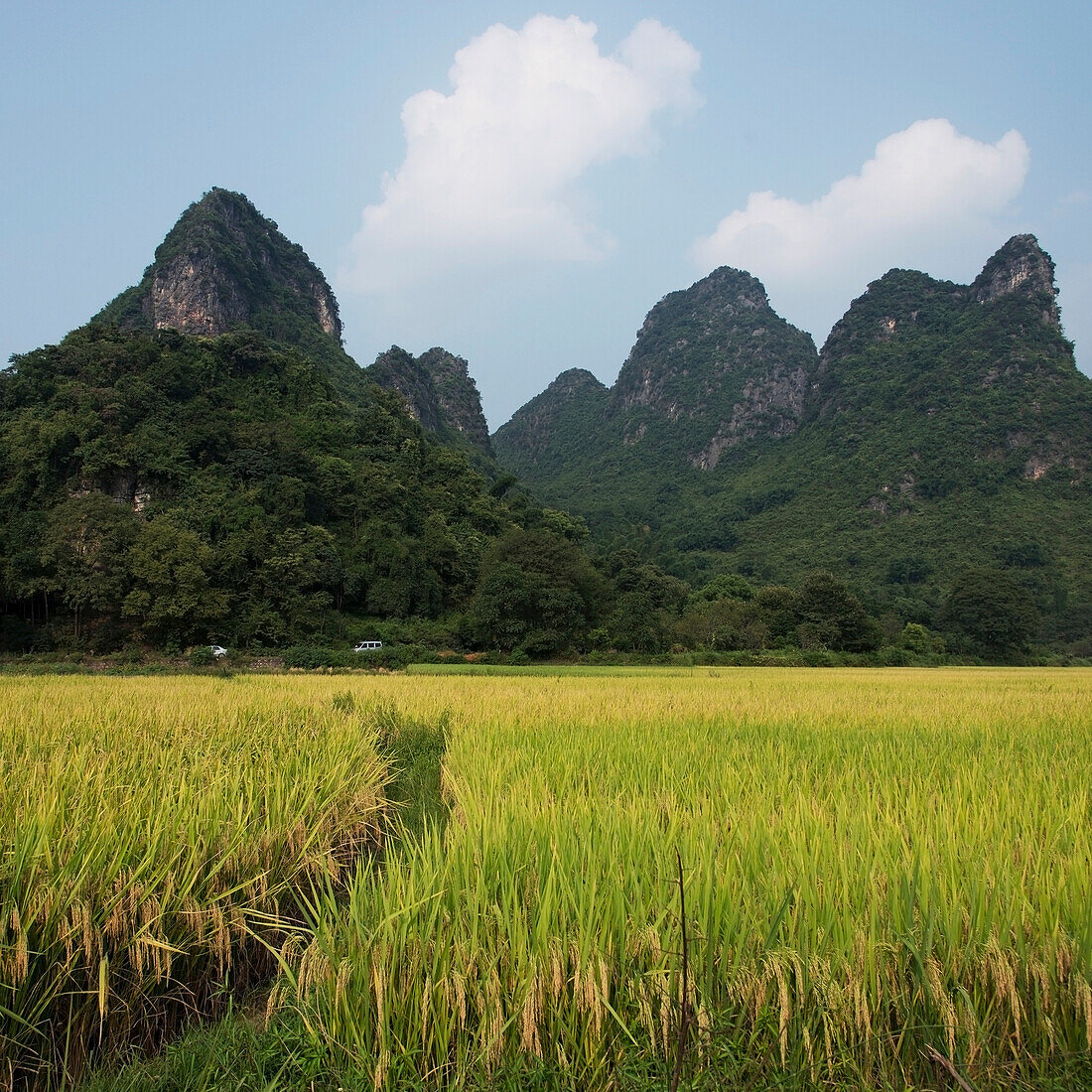 Landscape of rugged mountain peaks and a path through a crop in a field