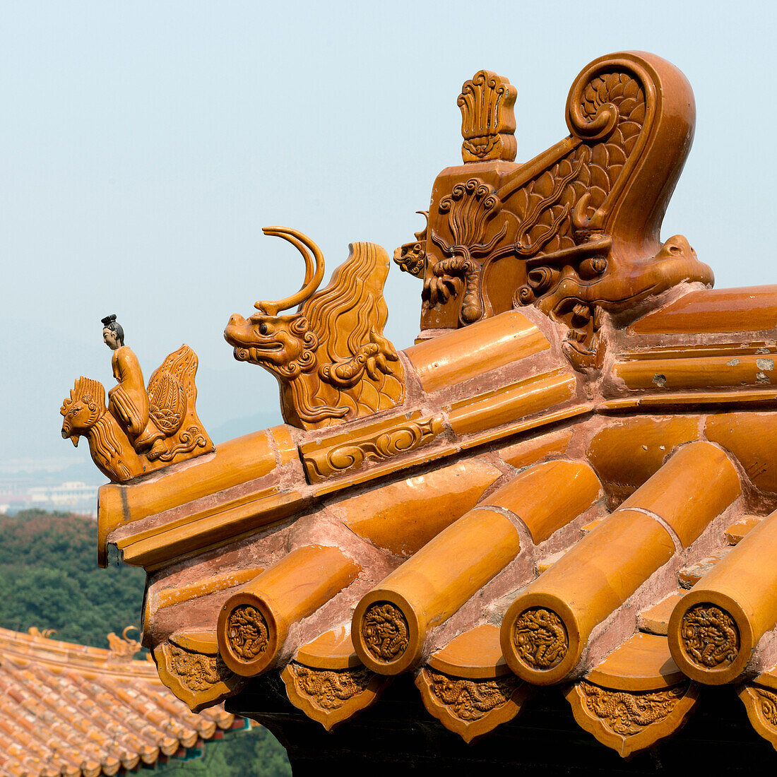 Ornate detail on a roof