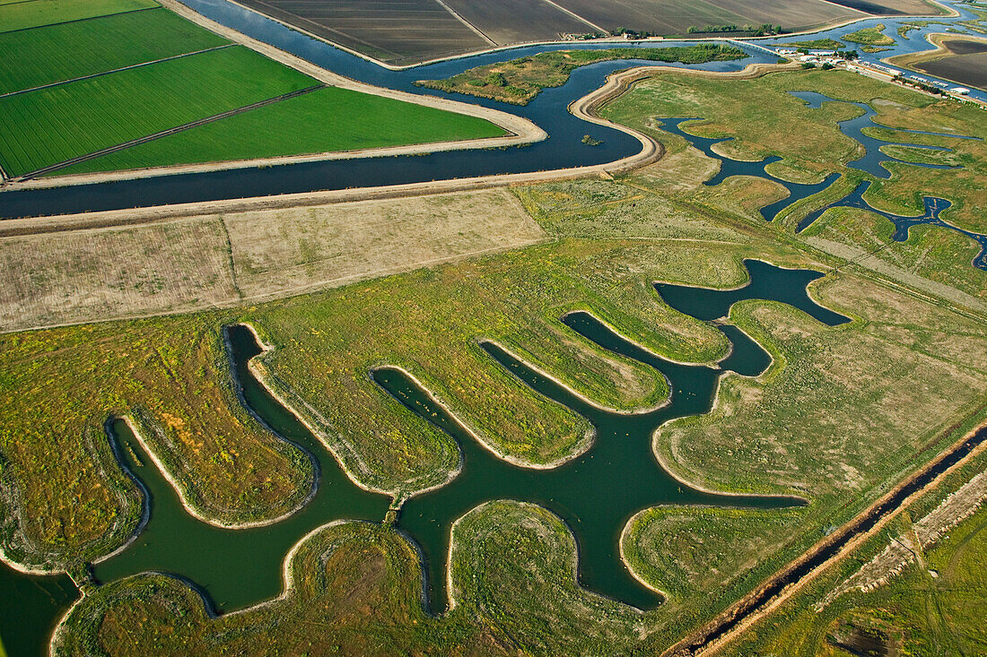 Agriculture - Aerial view of farmland, both cultivated and fallow, and river channels in the Sacramento-San Joaquin River Delta / near Lodi, California, USA.