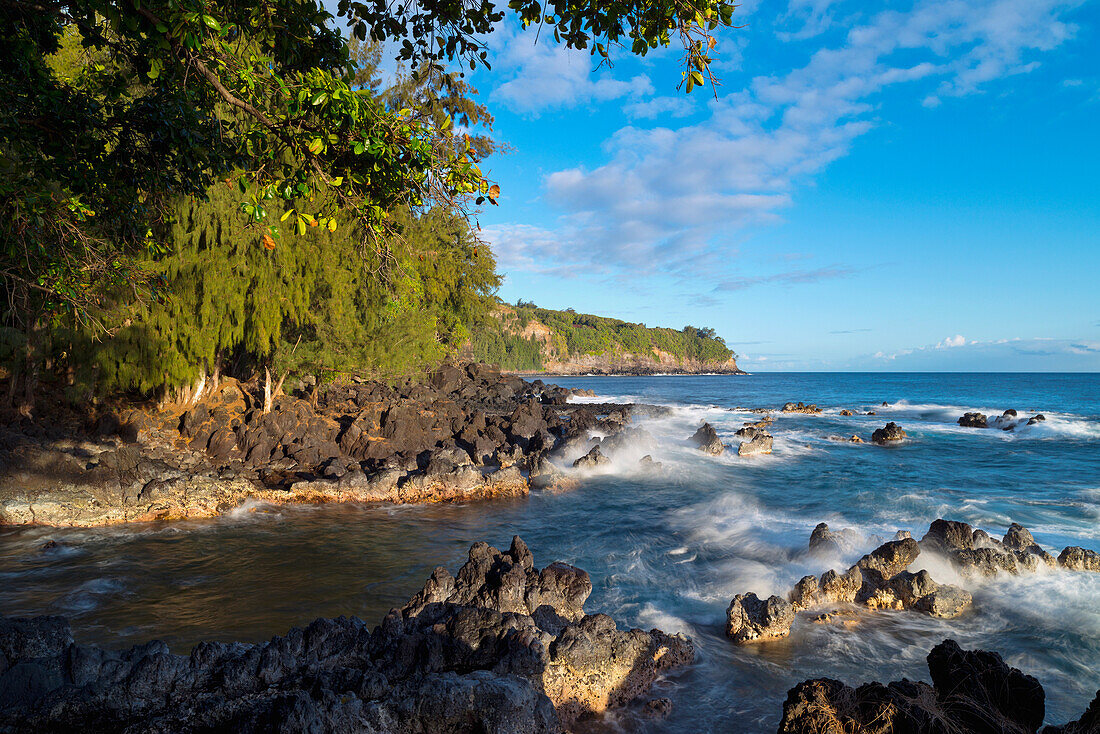 'View of the coastline on an hawaiian island;Lapahoehoe hamakua hawaii united states of america'