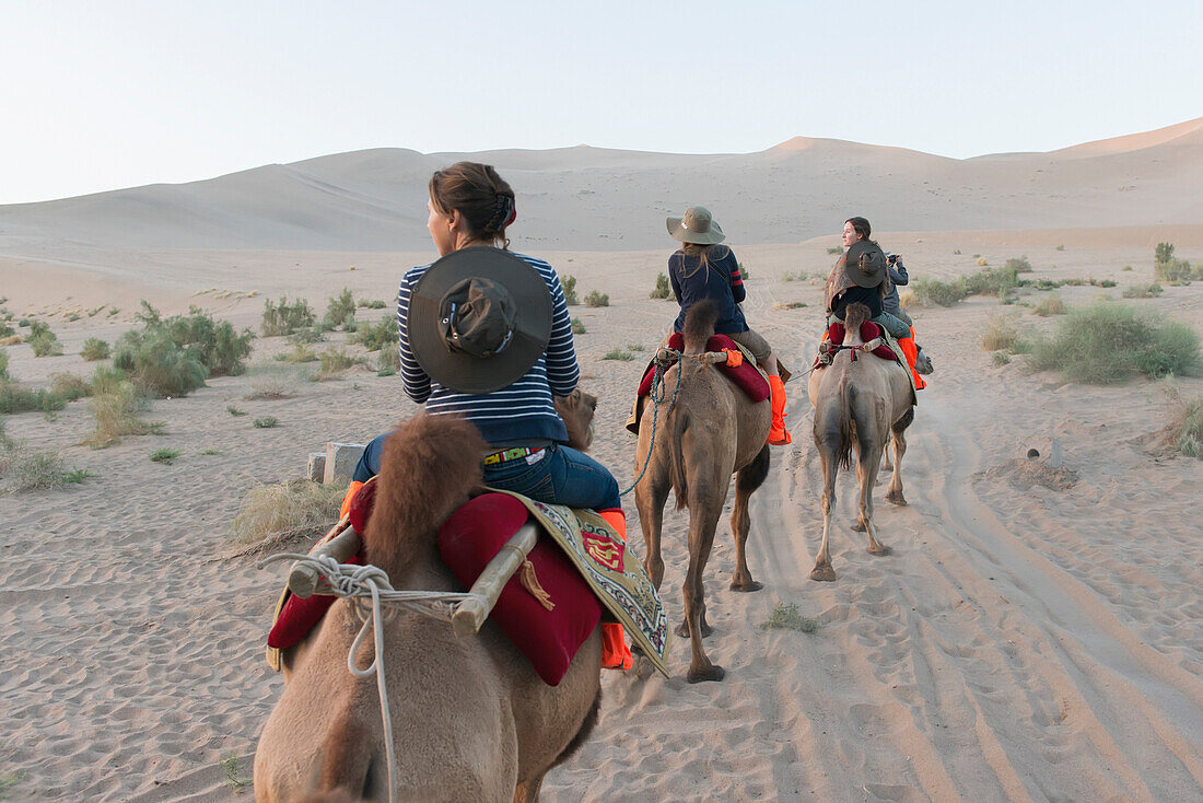 'Four people riding camels on a desert landscape;Jiuquan gansu china'