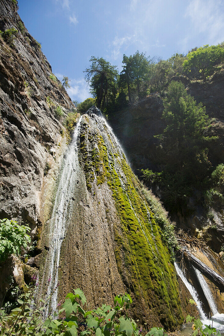 'View from the bottom of the limekiln creek falls;Big sur california united states of america'