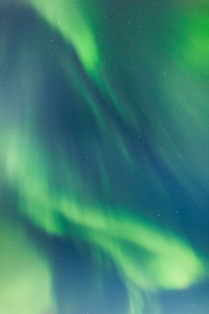 'Northern Lights In The Sky Above The Chena Lakes Recreation Area; Fairbanks, Alaska, United States Of America'