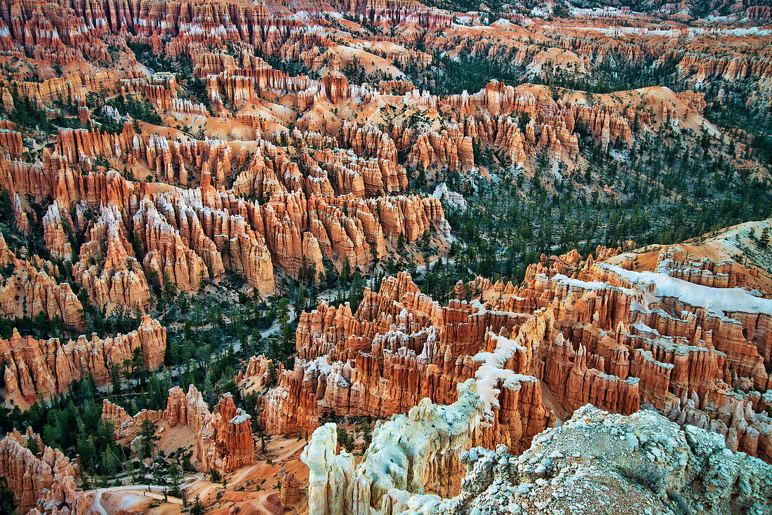 'Bryce Canyon National Park; Utah, United States Of America'