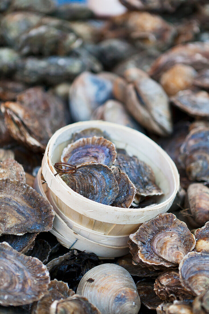 'Oysters For Sale At Borough Market; London, England'