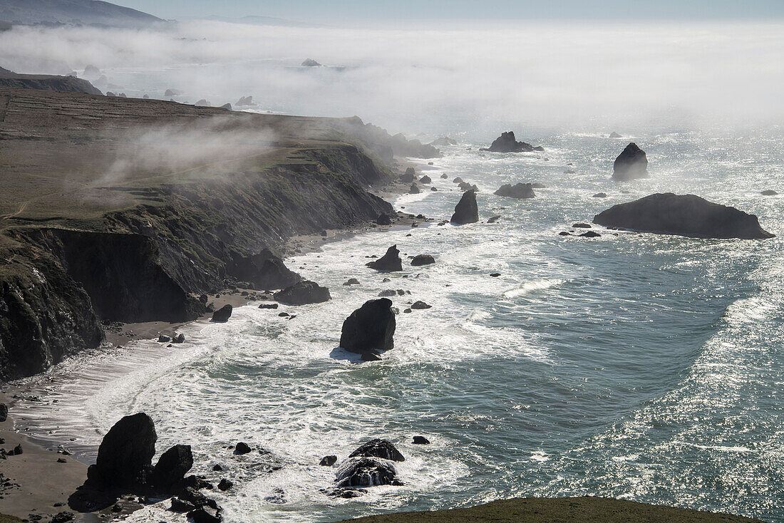 'Sonoma Coast State Park; California, United States Of America'