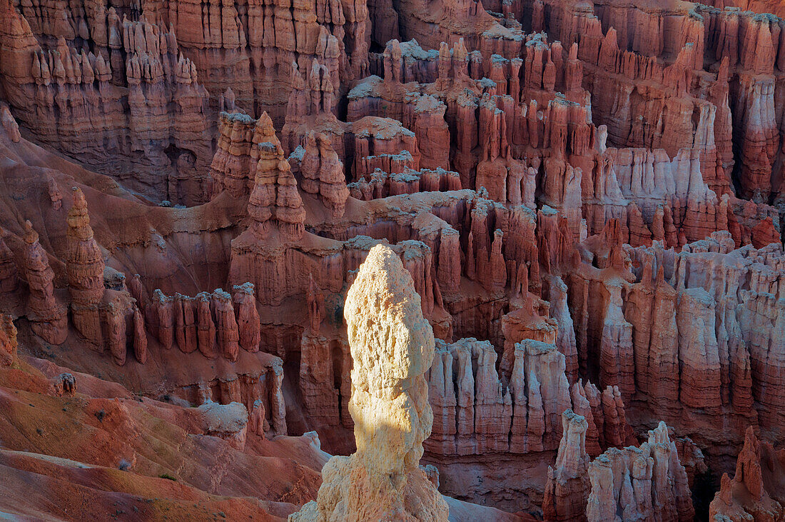 'Bryce Canyon National Park; Utah, United States Of America'