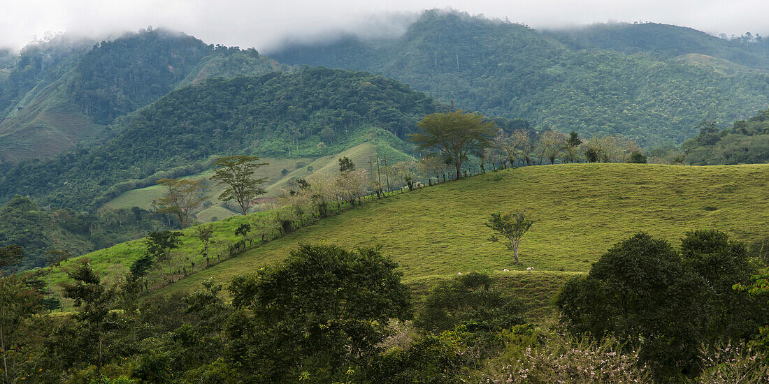 'Landscape Of Grassy Hills With Trees And Cloud; Zacapa, Guatemala'