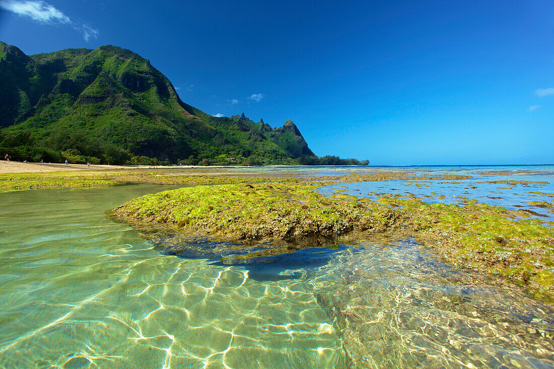 'Coral and seaweed on Tunnels Beach at low tide; Kauai, Hawaii, United States of America'