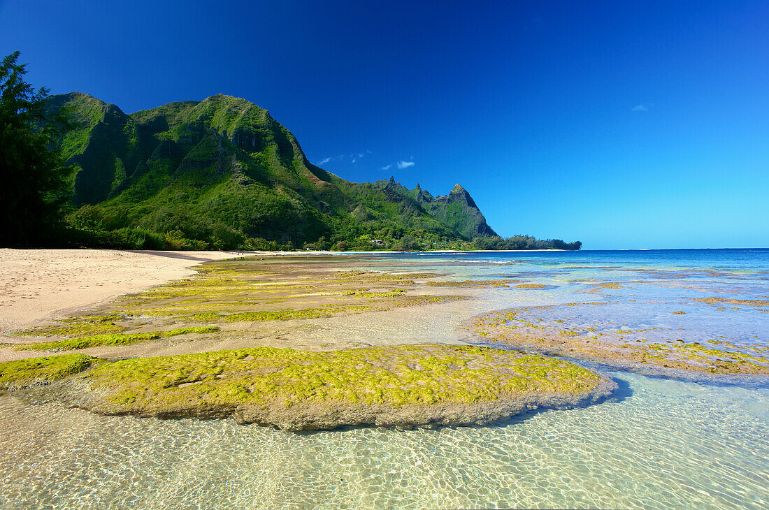'Seaweed and rock under the clear water along the beach at Tunnels Beach; Kauai, Hawaii, United States of America'