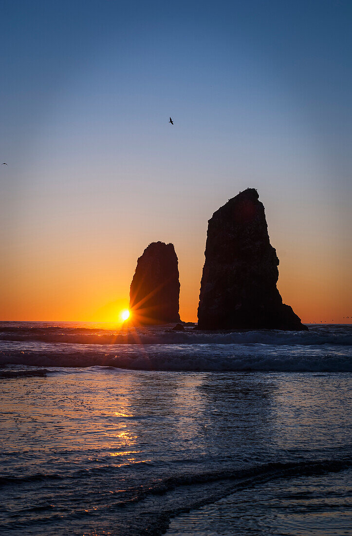 'The sunset over sea stacks; Cannon Beach, Oregon, United States of America'