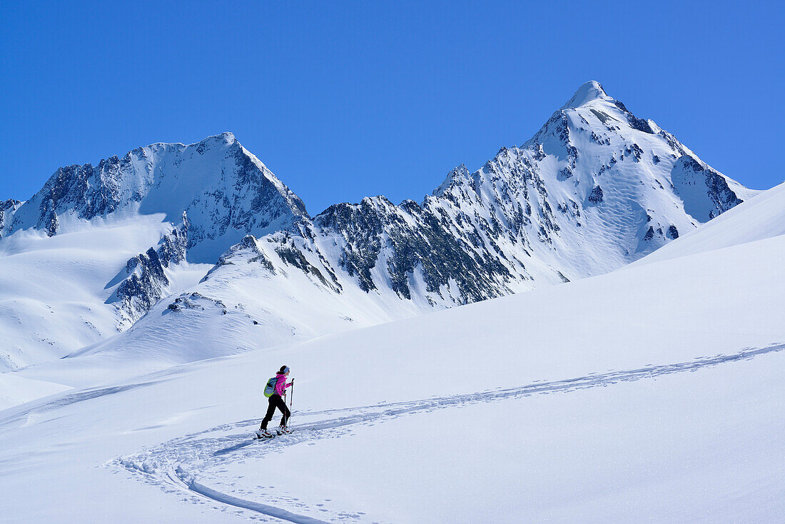 Frau auf Skitour steigt zum Eiskögele auf, Hochfirst und Kirchenkogel im Hintergrund, Obergurgl, Ötztaler Alpen, Tirol, Österreich