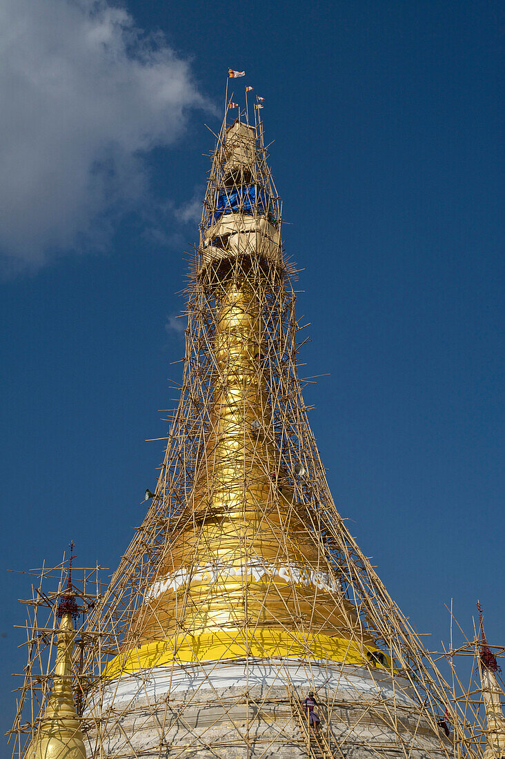 Mit Bambusgerüst eingerüstete Pagode in einem Tempel in Pindaya, Shan Staat, Myanmar, Burma